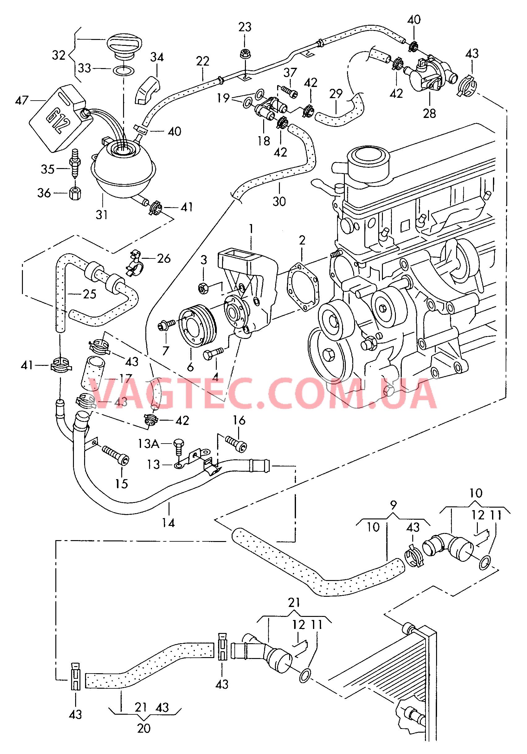 Насос системы охлаждения Шланги ОЖ и трубки Бачок, компенсационный  для SKODA Fabia 2000