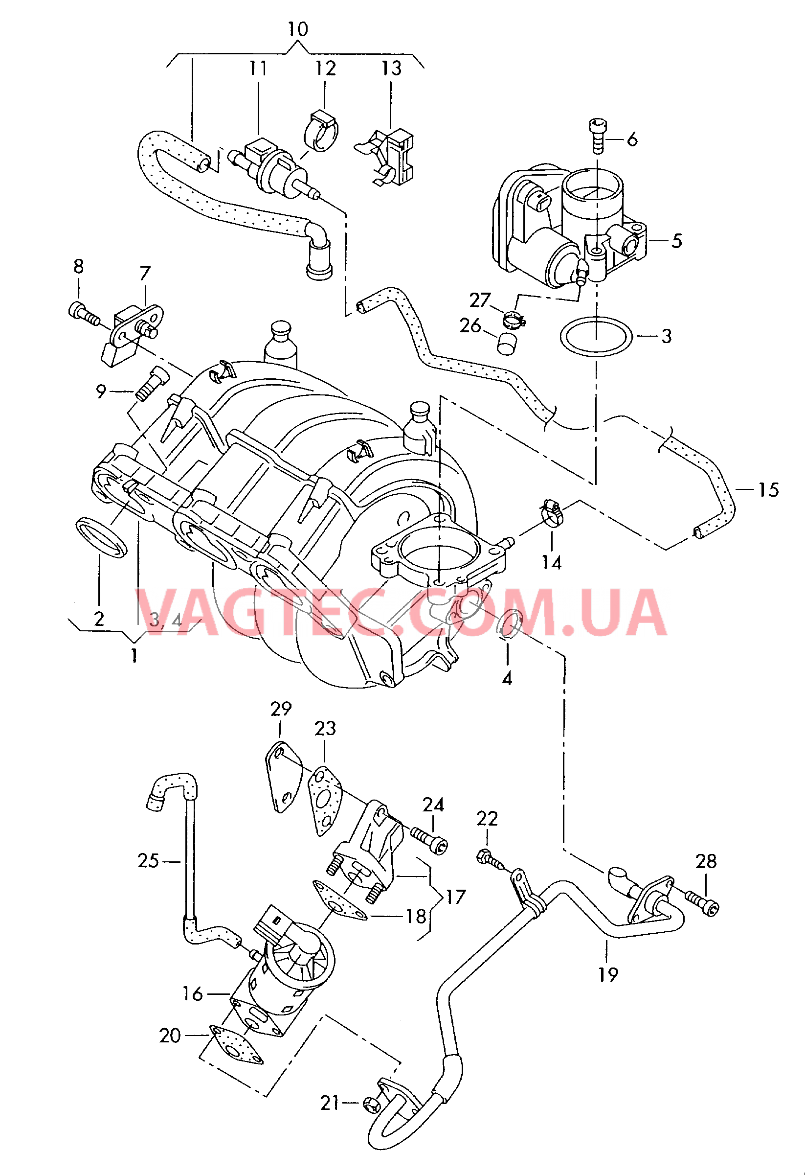 Cистема впуска воздуха Рециркуляция ОГ Cистема улавл. паров топлива  для VOLKSWAGEN Polo 2005