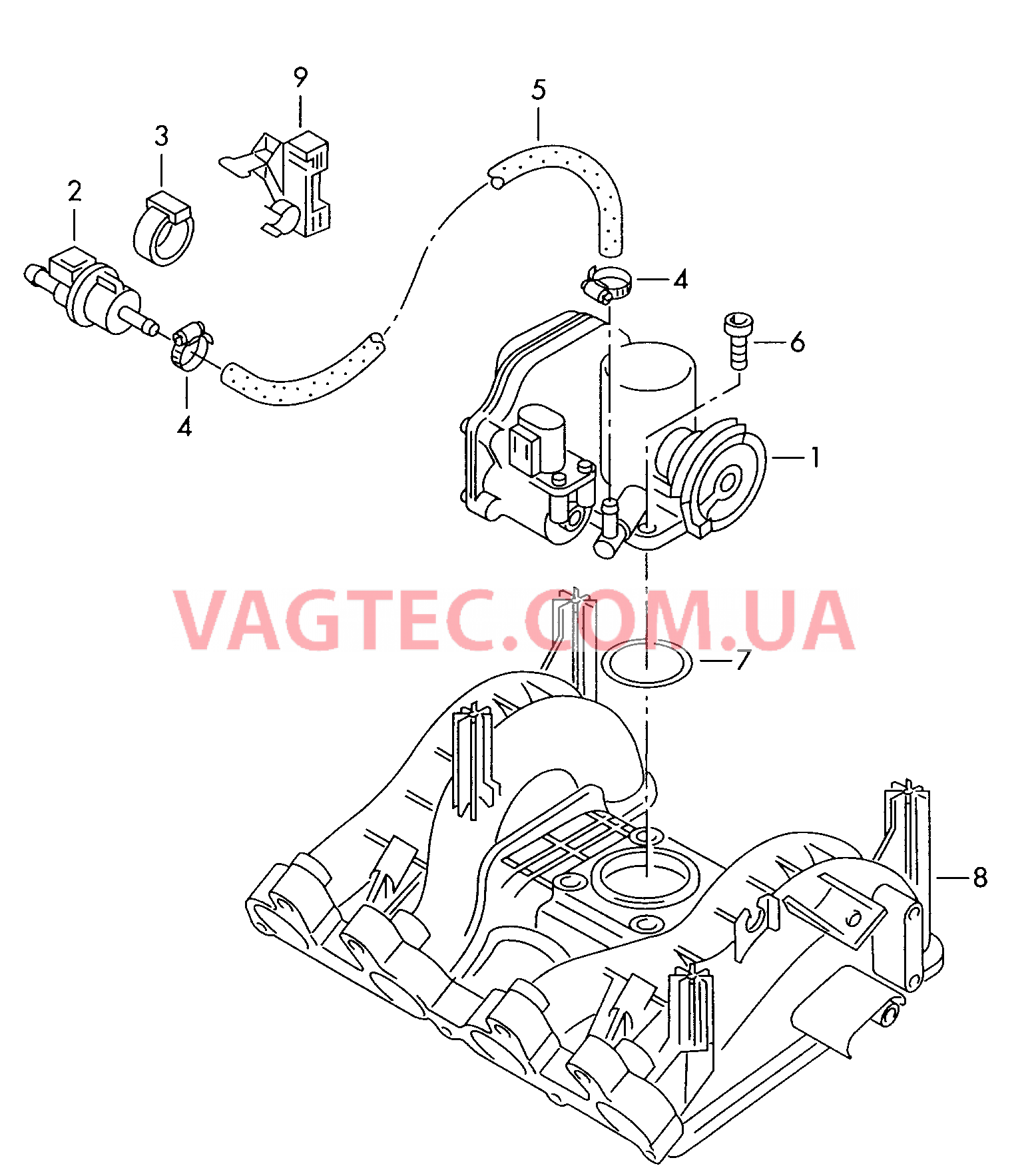 Блок дроссельной заслонки Вакуумная система Cистема улавл. паров топлива  для SEAT Inca 2002