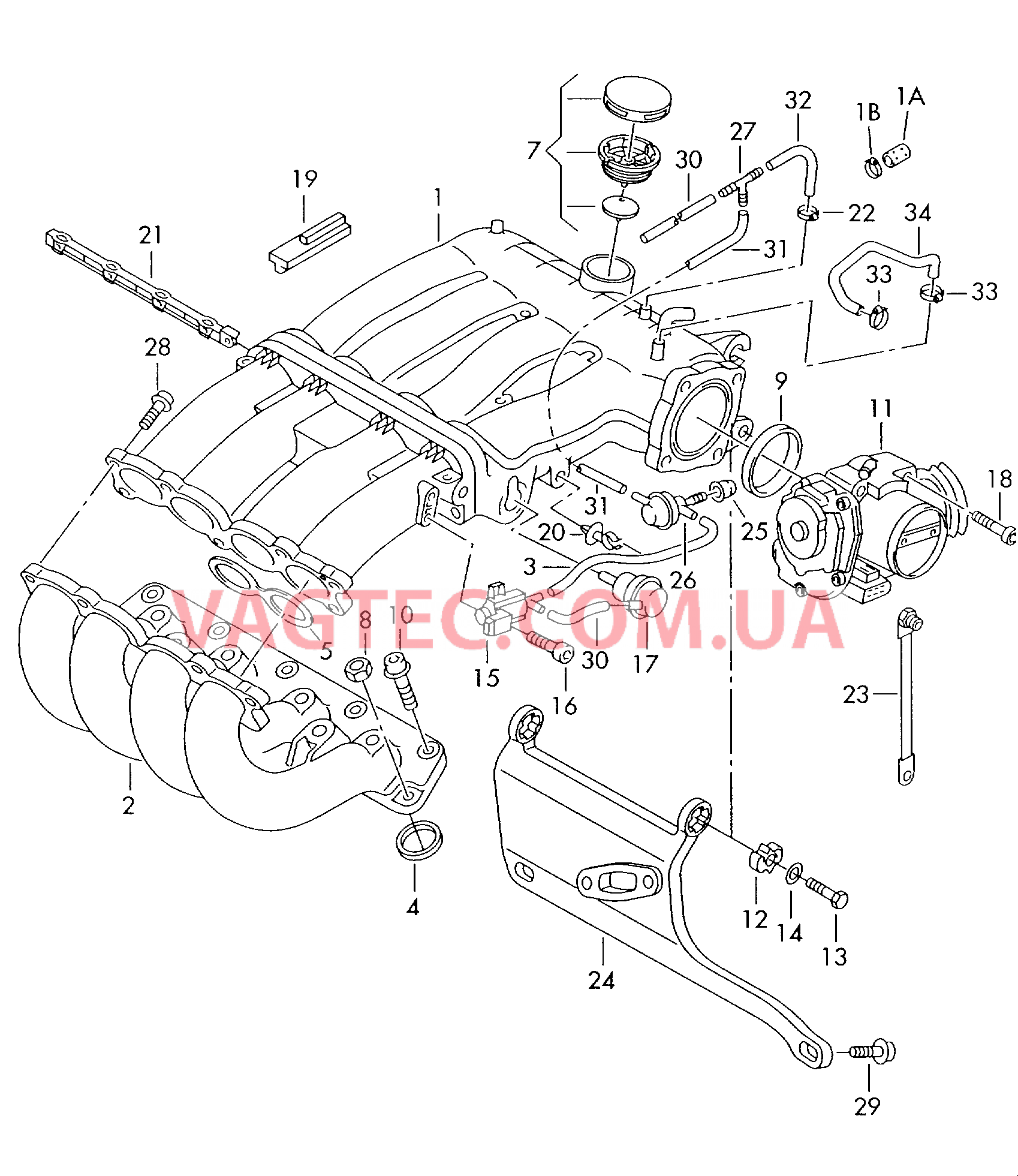 Блок дроссельной заслонки VW GOLF  Вакуумная система VW GOLF  Cистема впуска воздуха VW GOLF   для VOLKSWAGEN GOLF 2000