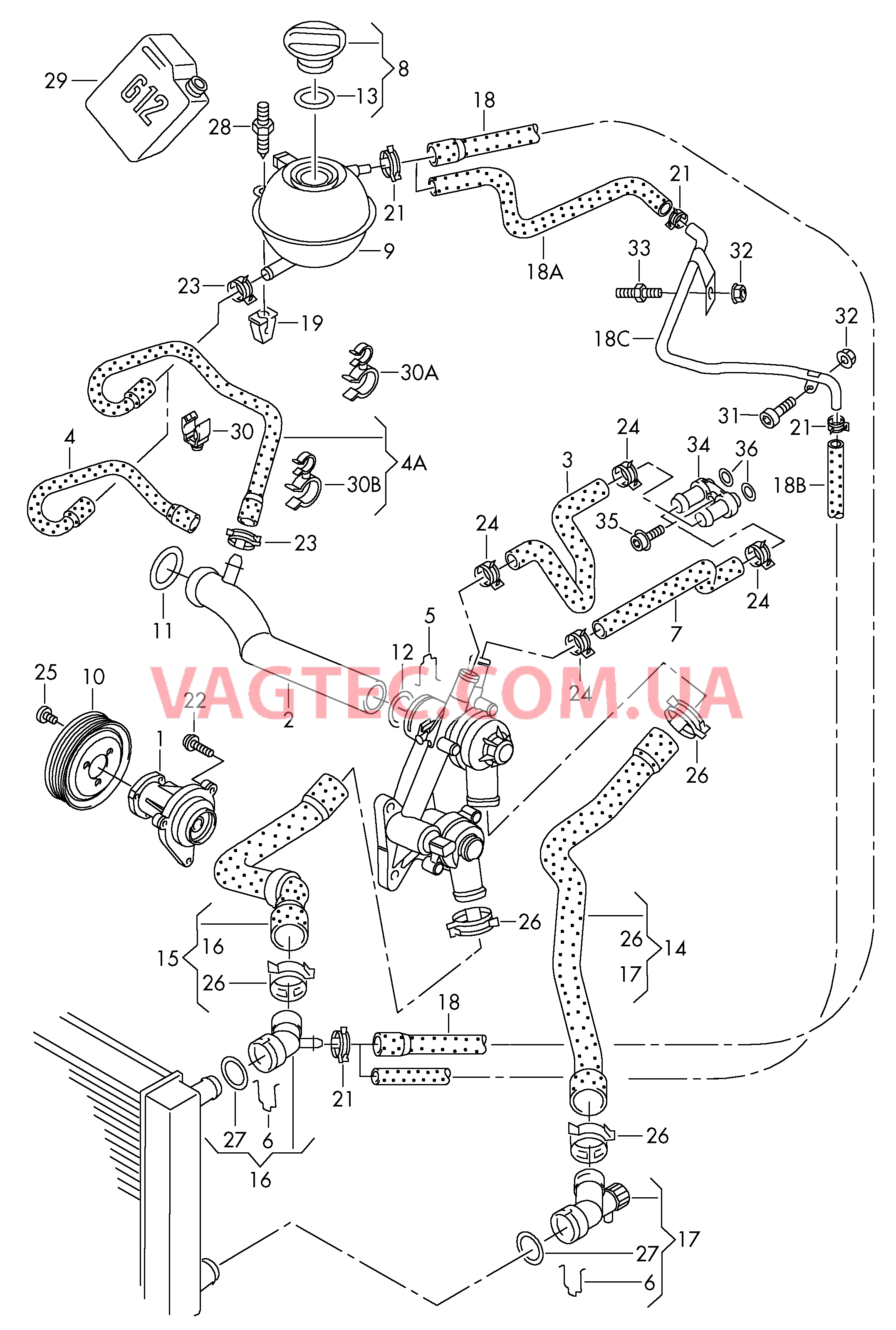 Насос системы охлаждения Шланги ОЖ и трубки  Бачок, компенсационный  для SEAT Ibiza 2002-1