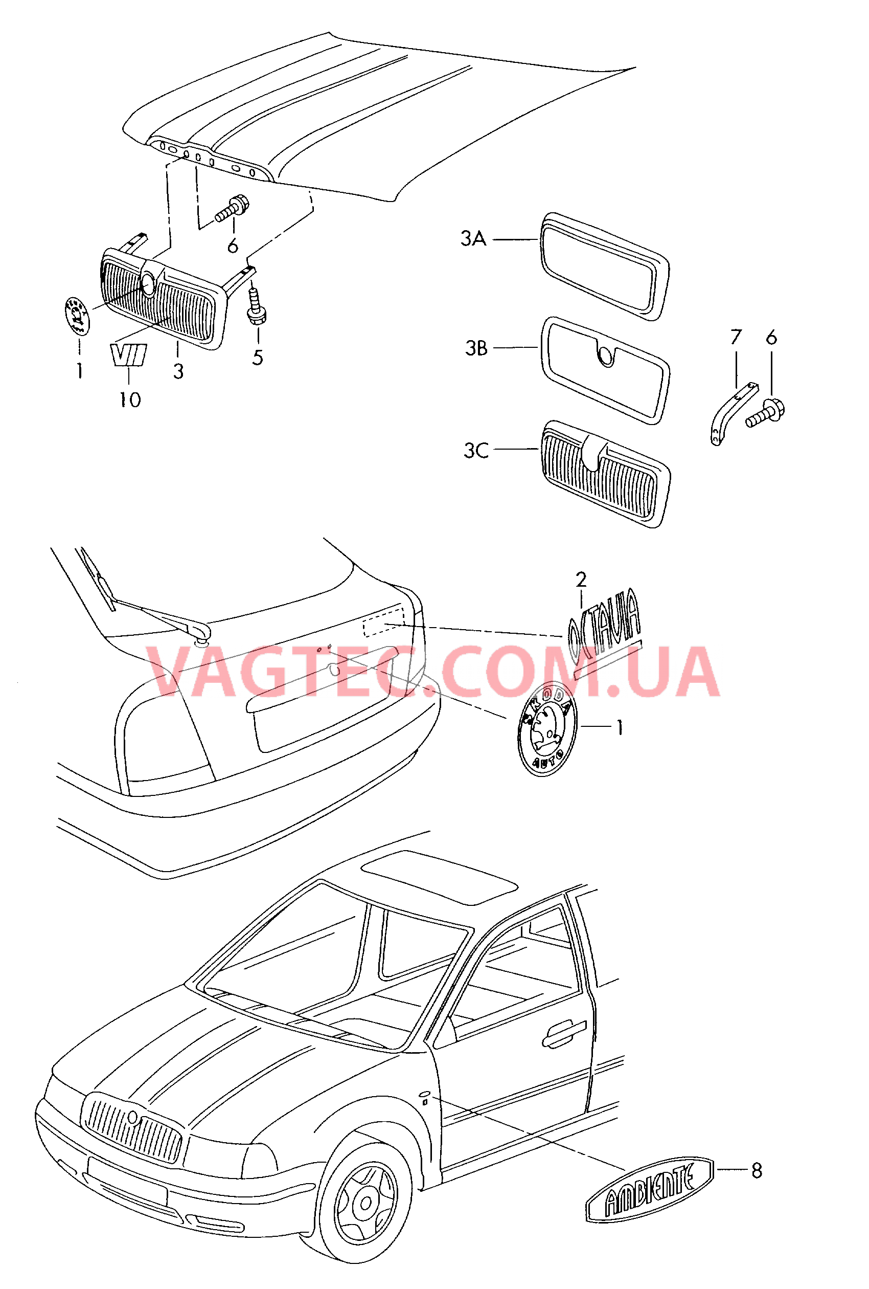 Надписи Решётка радиатора  для SKODA Octavia 2005