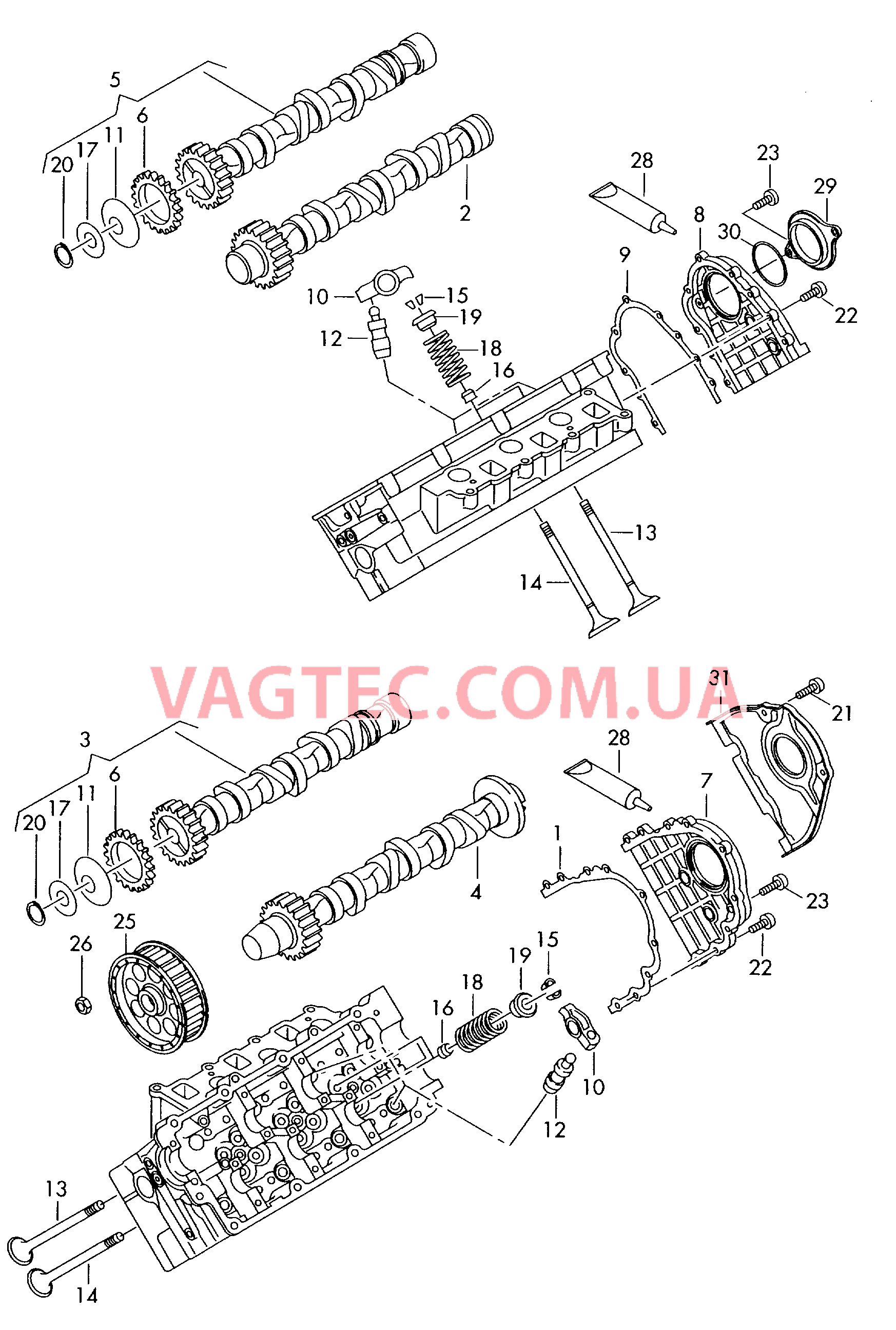 Распределительный вал, клапаны  для AUDI A8Q 2003-1