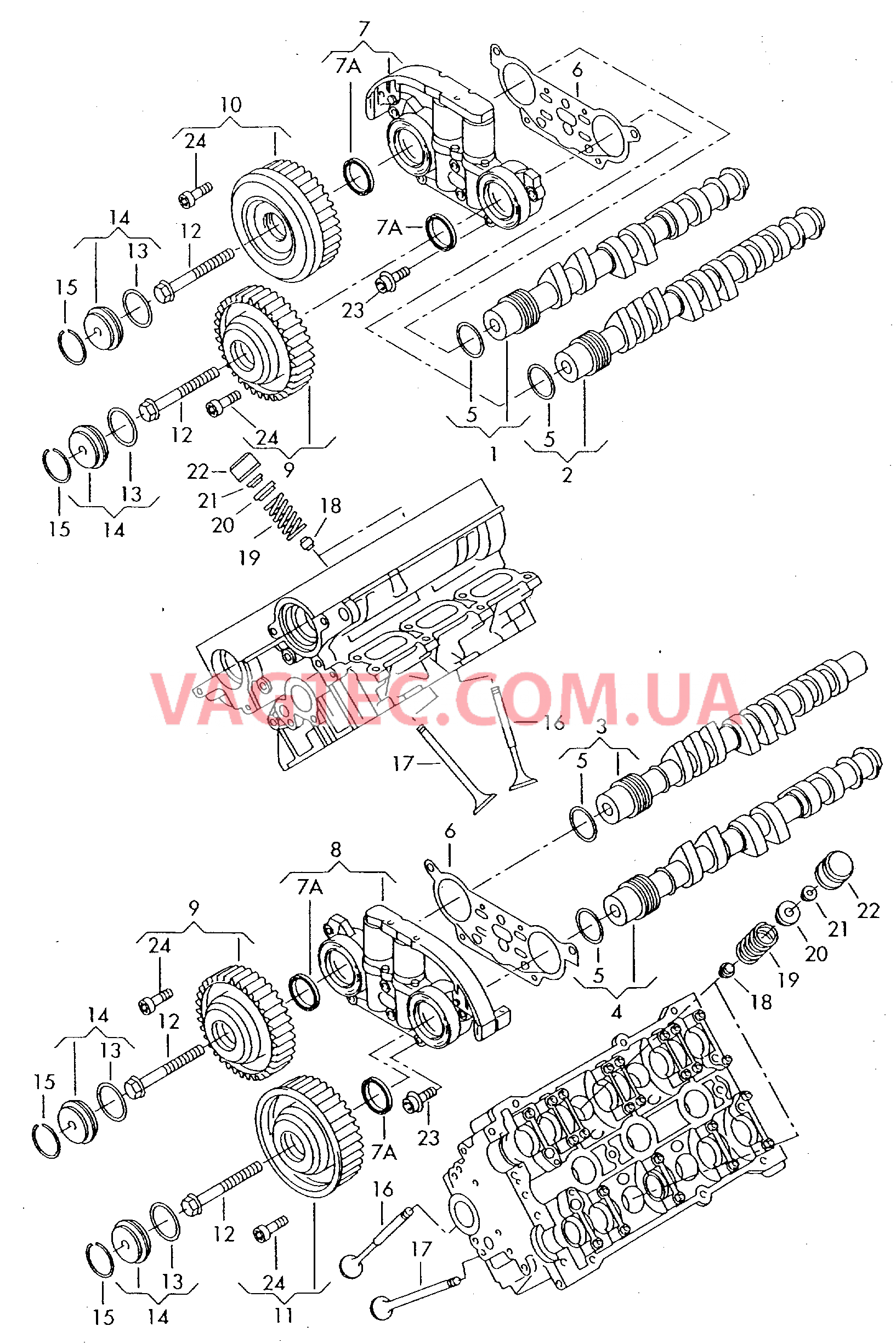 Распределительный вал, клапаны  для AUDI A6Q 2005-1