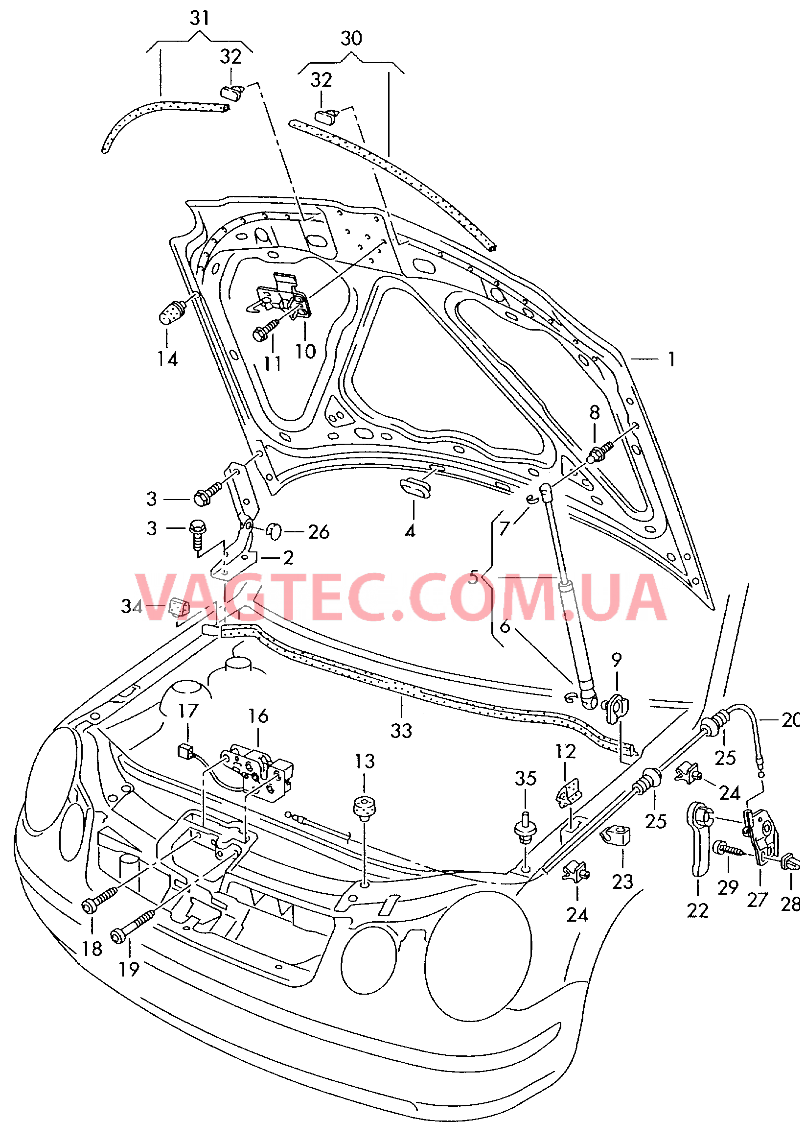 Капот  для VOLKSWAGEN POCC 2004