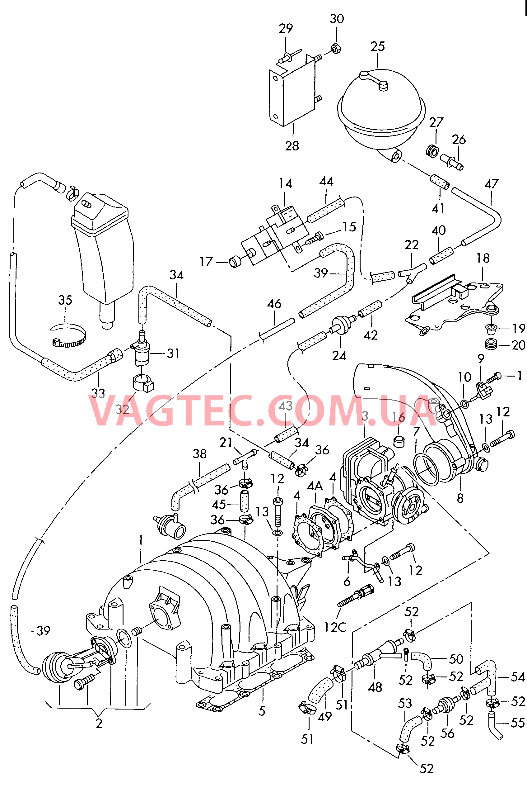  AUDI A6 Вакуумная система Cистема улавл. паров топлива для а/м без рециркуляции ОГ  Воздухозаборная труба Блок дроссельной заслонки Эжекционный насос  для AUDI A6 2001