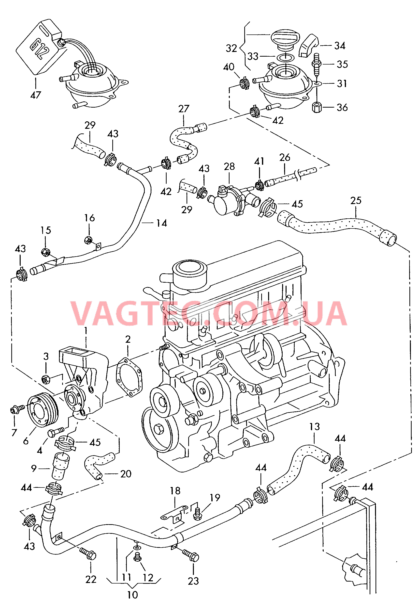 Насос системы охлаждения Шланги ОЖ и трубки Бачок, компенсационный  для SEAT Arosa 2002