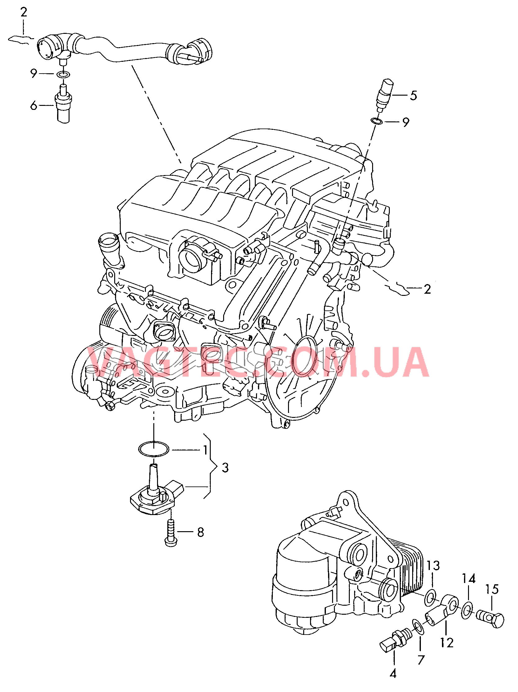 Выключатель и датчик на двигателе и коробке передач  для VOLKSWAGEN Phaeton 2005