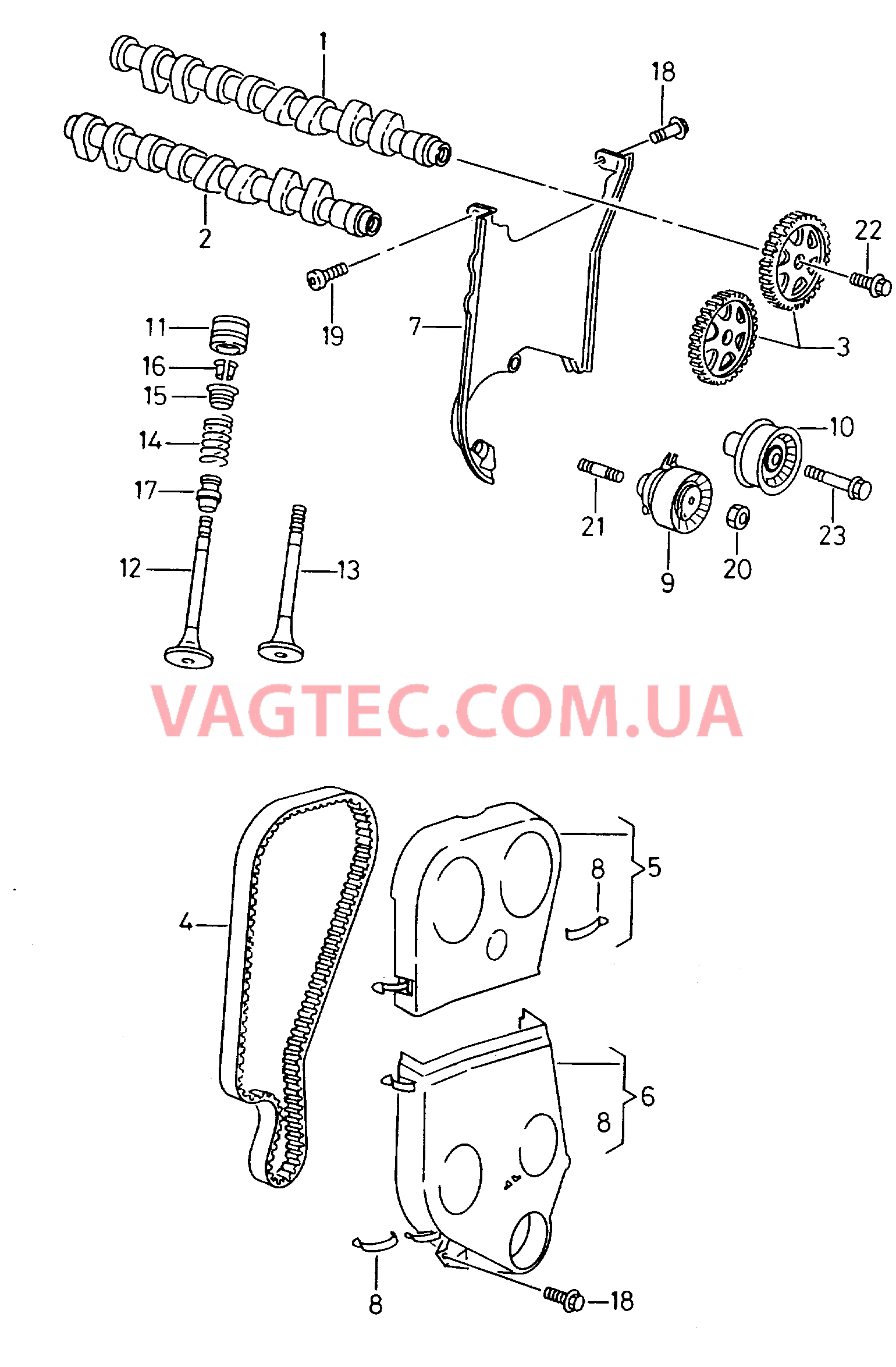 Распределительный вал, клапаны Ремень зубчатый Защитный кожух ремня  для SEAT CO 2001