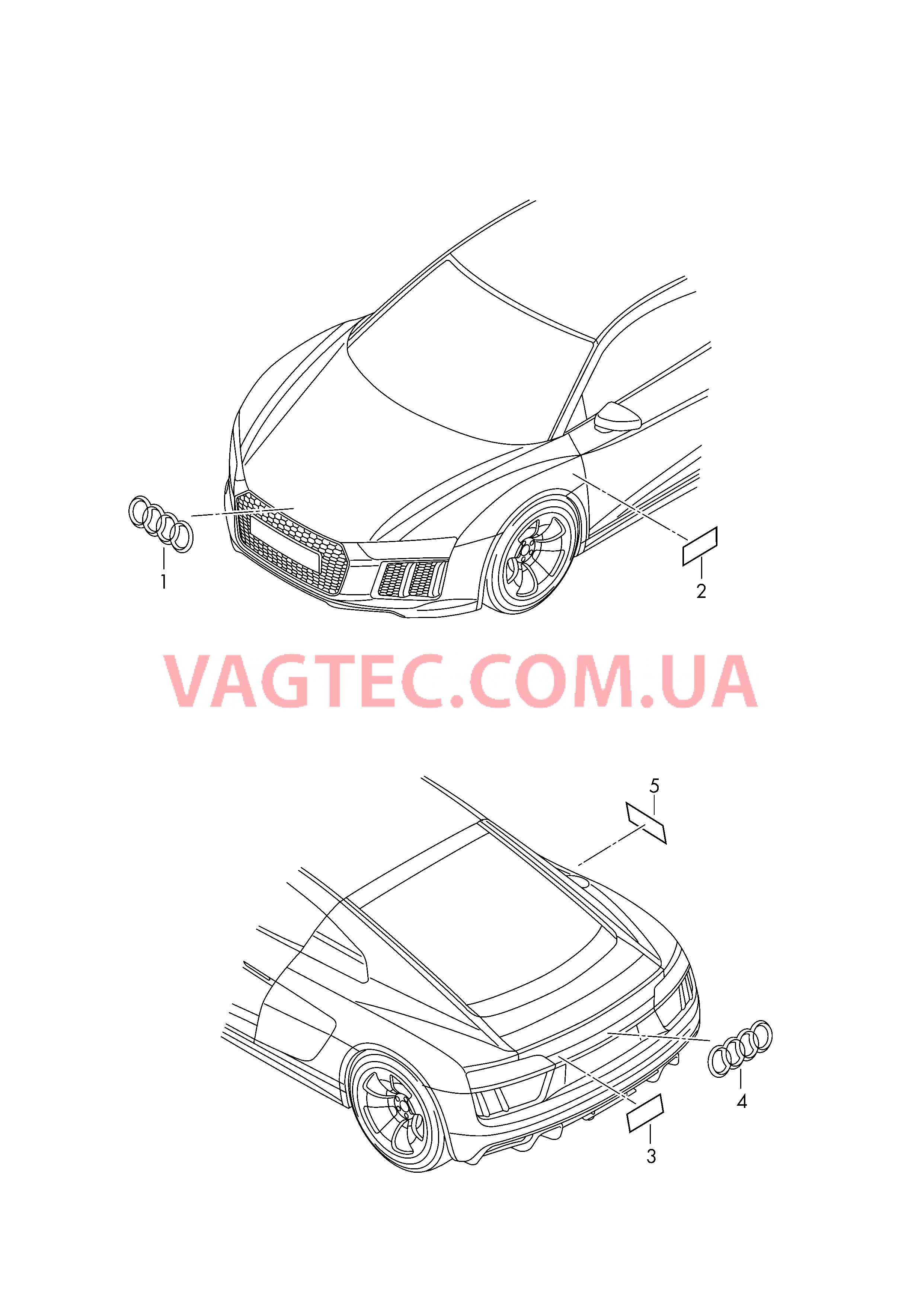 Надписи  для AUDI R8 2016