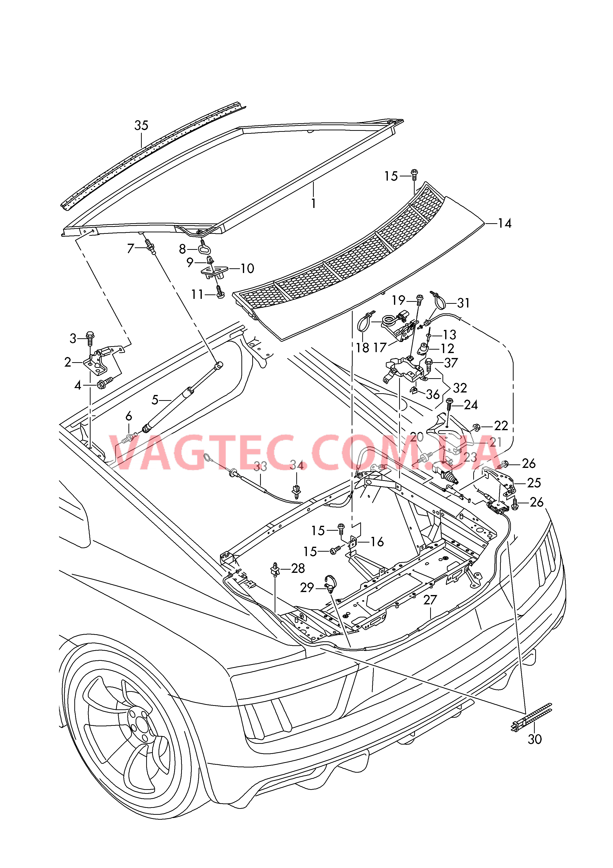 Крышка багажного отсека  для AUDI R8 2016