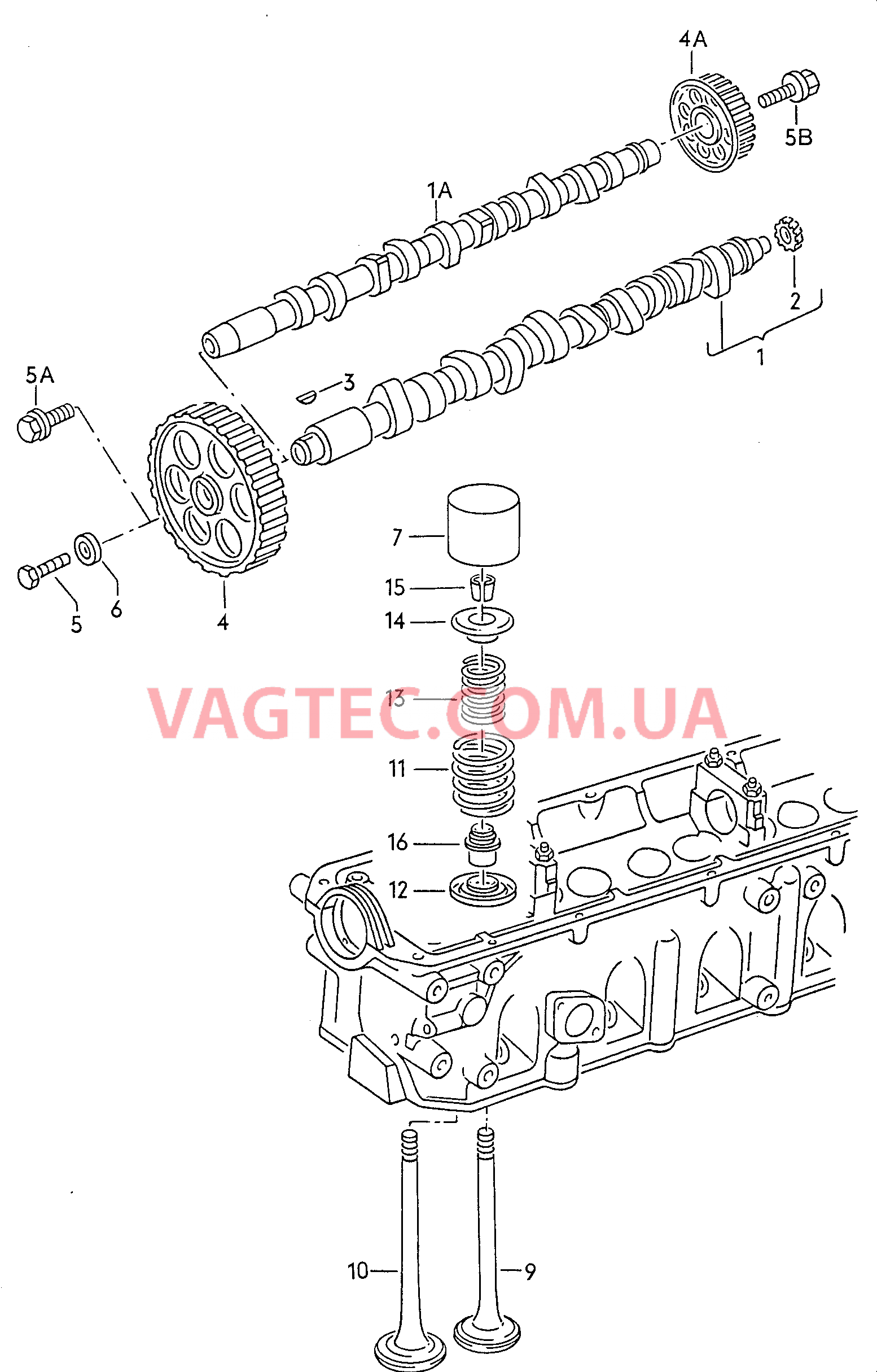Распределительный вал, клапаны  для VOLKSWAGEN Transporter 2000
