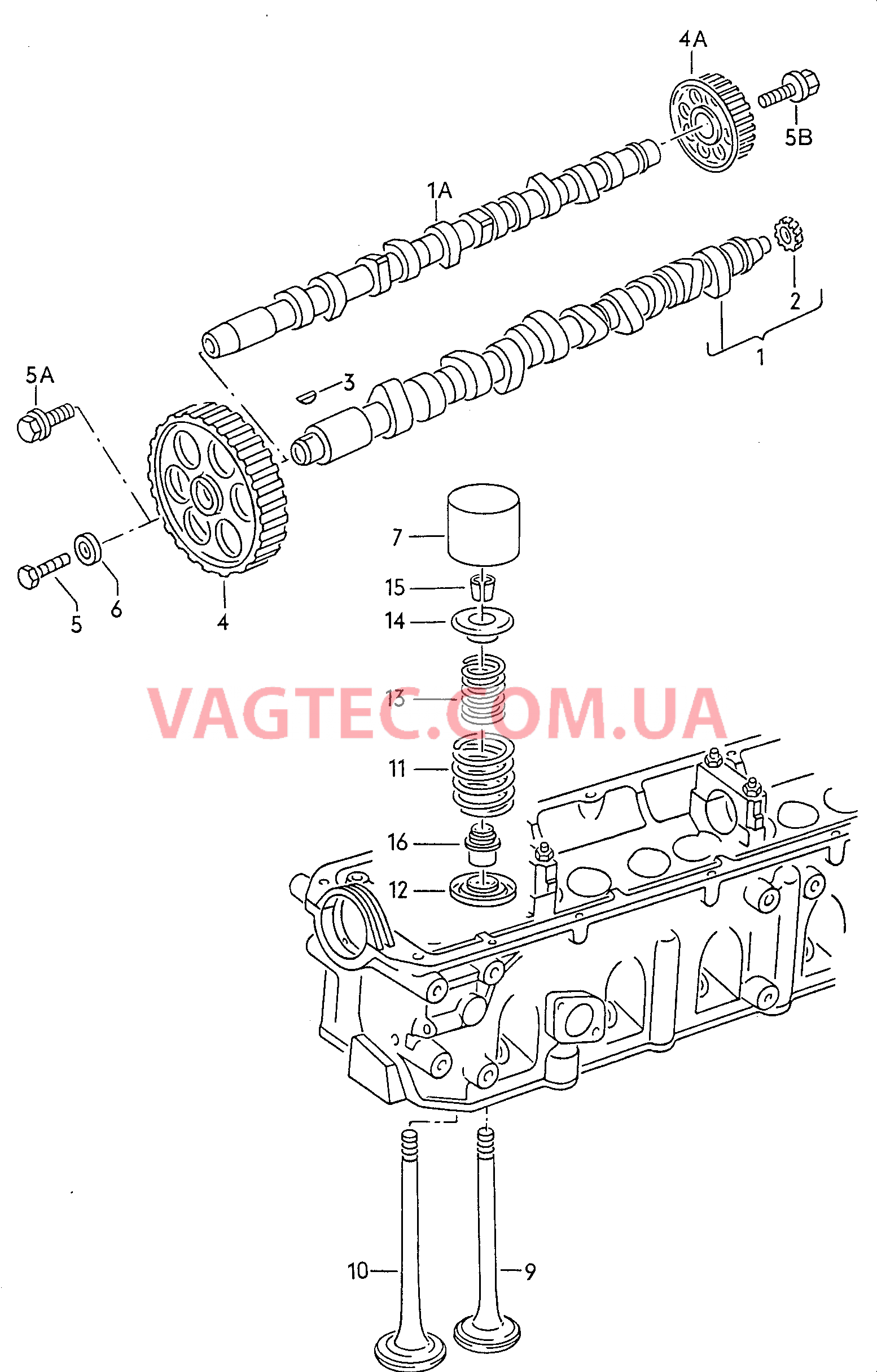 Распределительный вал, клапаны  для VOLKSWAGEN Transporter 2004