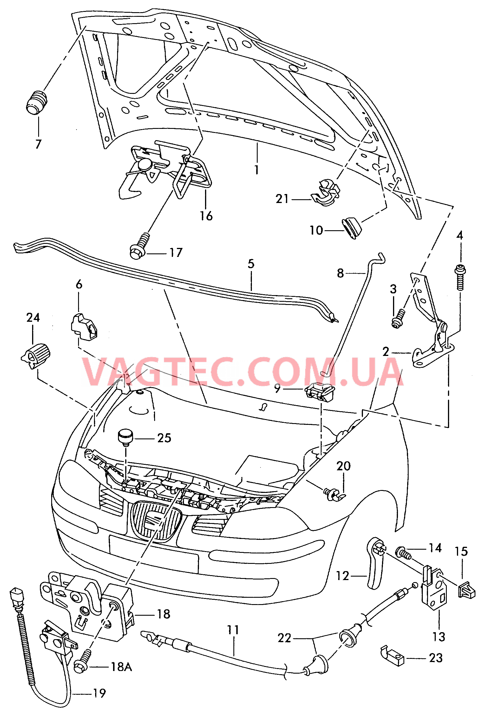 Капот  для SEAT CO 2006