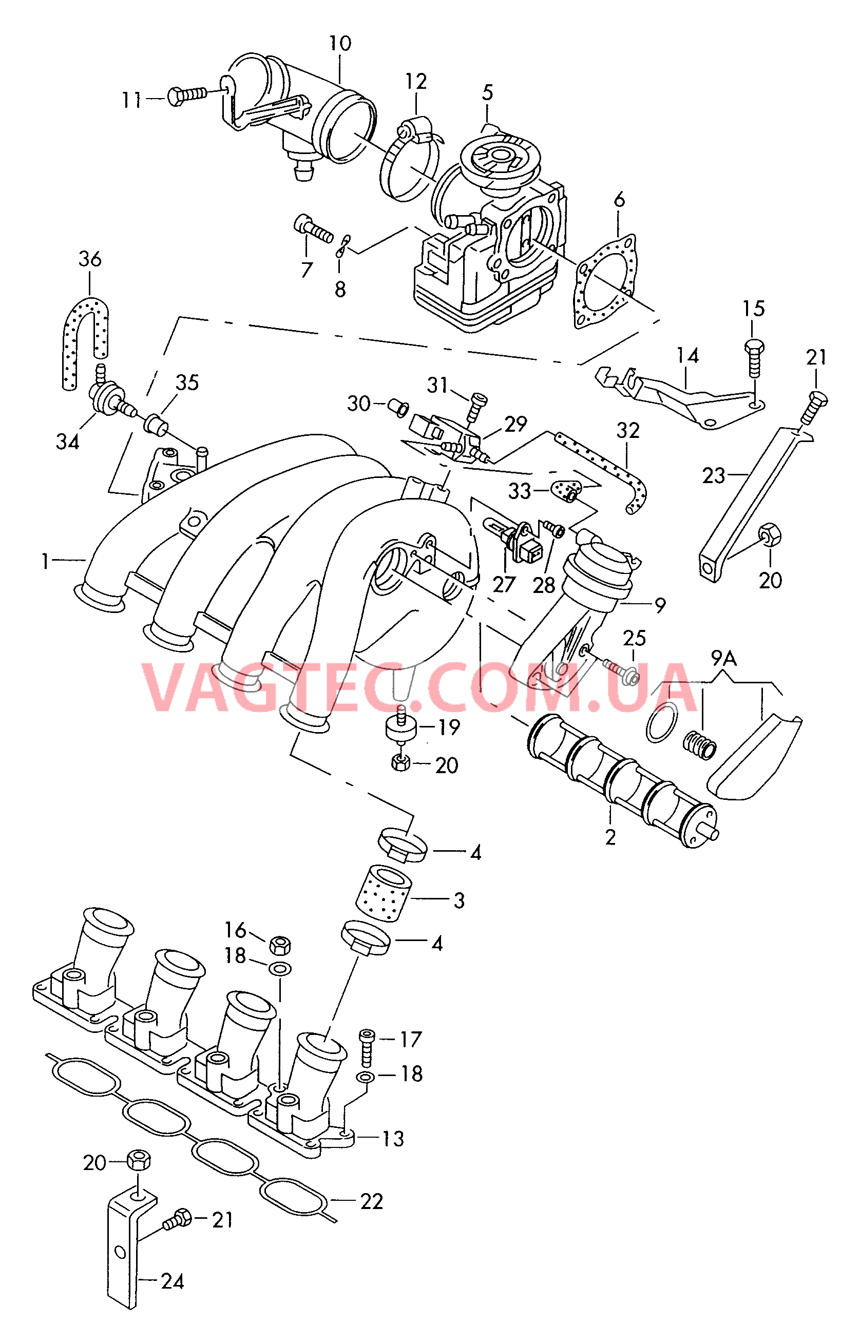  AUDI A6 Блок дроссельной заслонки Всас. коллектор с изм. длиной  для AUDI A6 2000