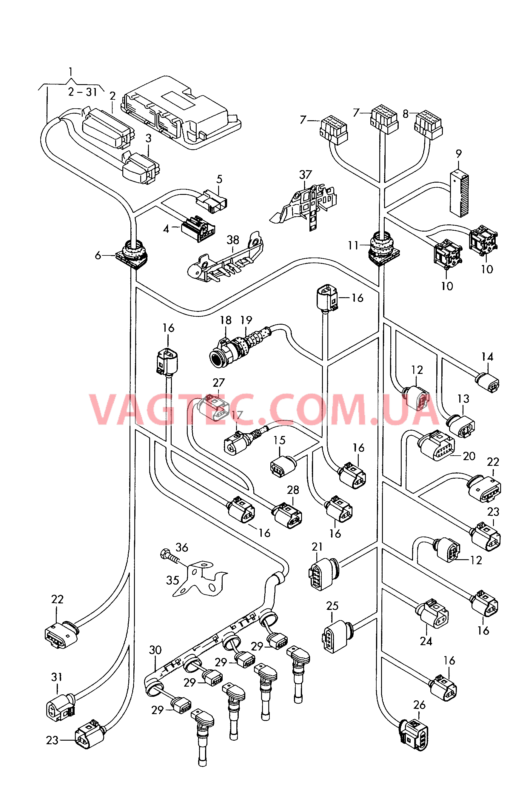 Жгут проводов для моторн. отс.  для AUDI A6Q 2005-1