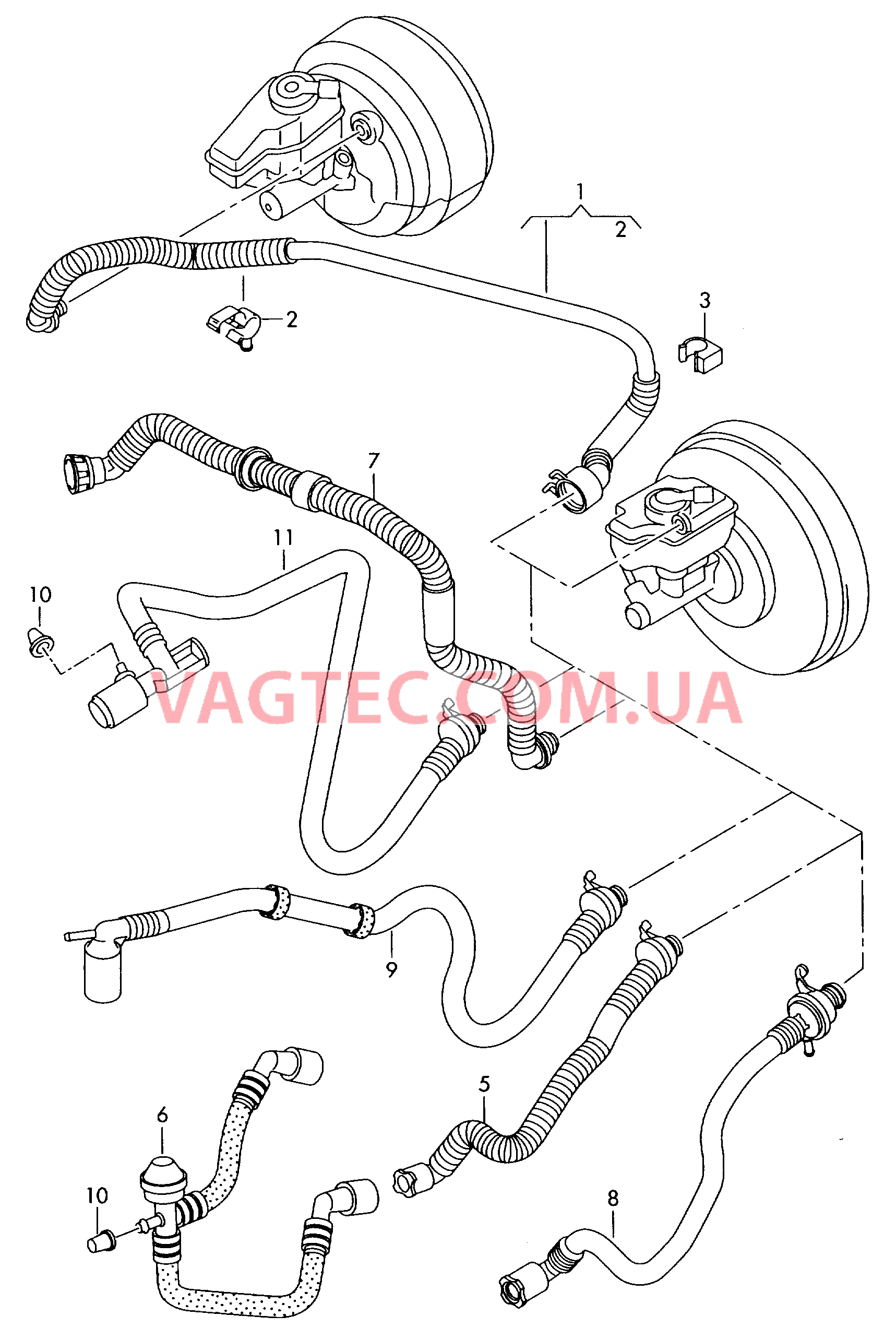 Вакуумные шланги для усилителя тормозного привода  для AUDI TT 2011