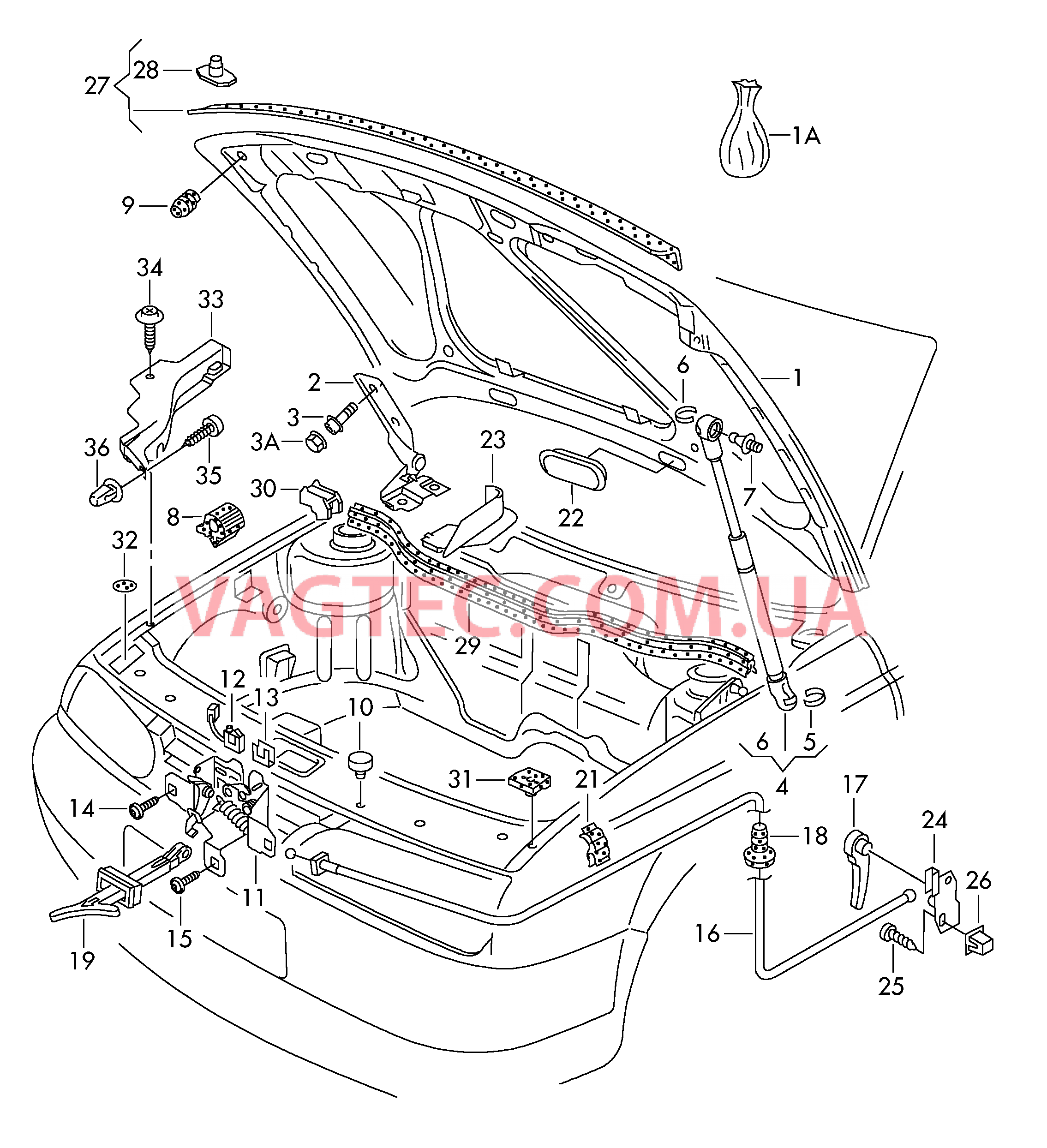 Капот  для VOLKSWAGEN GOLF 2005