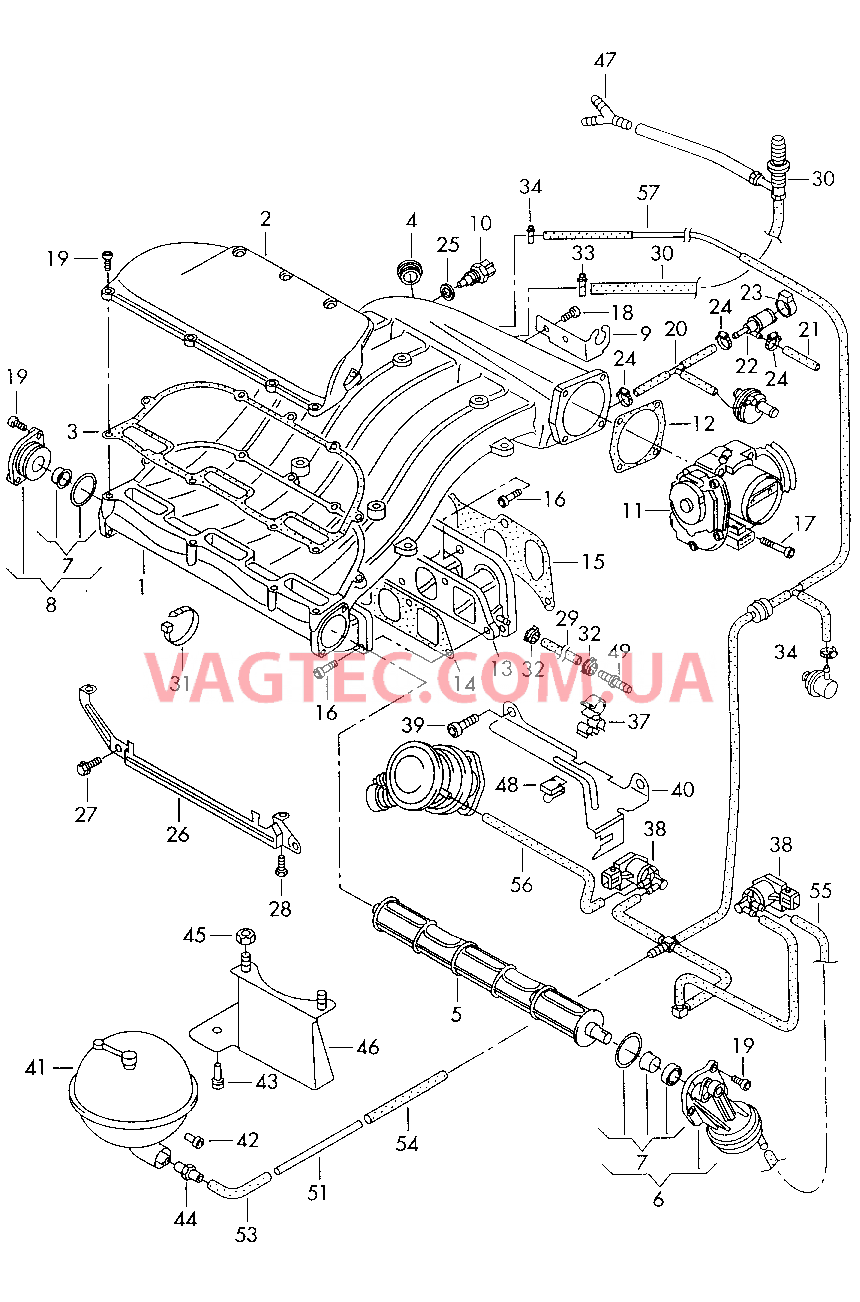  VW РASSAT Cистема впуска воздуха Cистема улавл. паров топлива VW РASSAT  Вакуумная система VW РASSAT  Блок дроссельной заслонки VW РASSAT  F             >> 3B-X-132 000* для VOLKSWAGEN Passat 2000