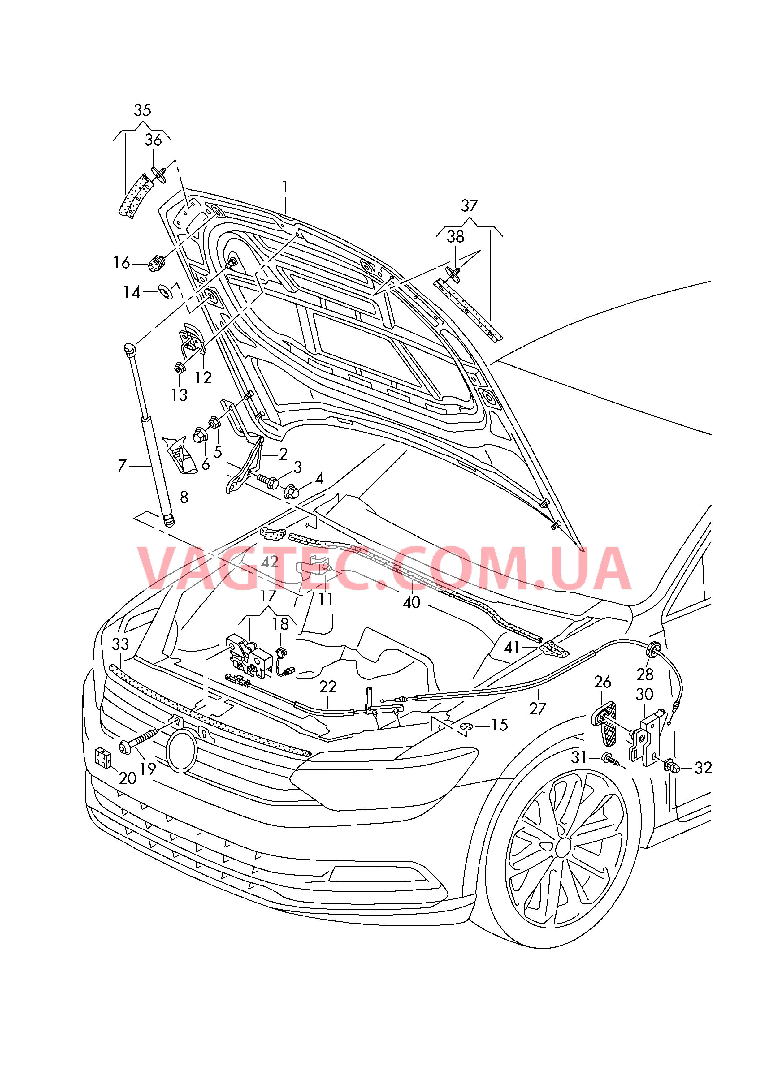 Капот  для VOLKSWAGEN Passat 2018-1