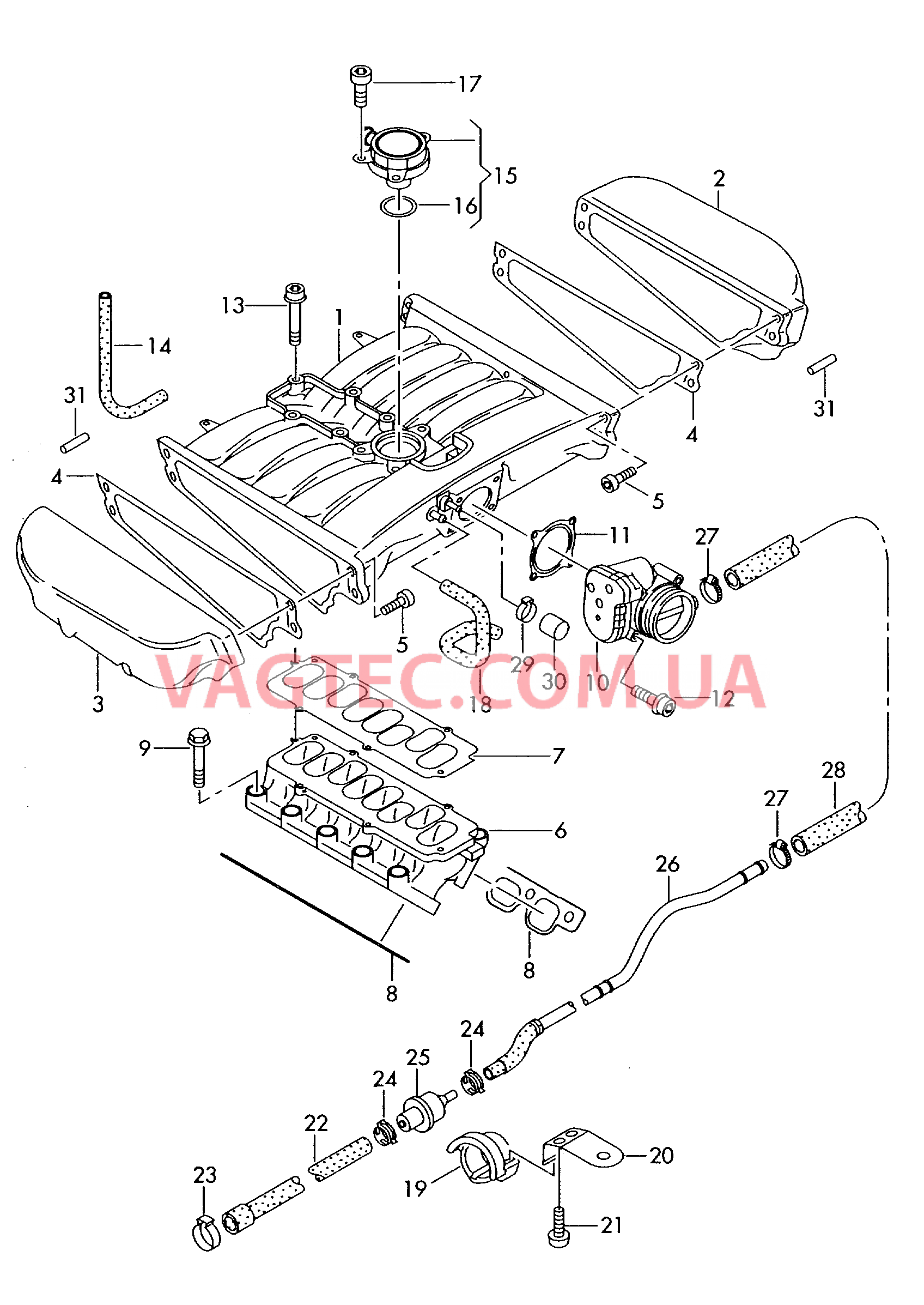 Cистема впуска воздуха Вакуумная система  для VOLKSWAGEN Passat 2005