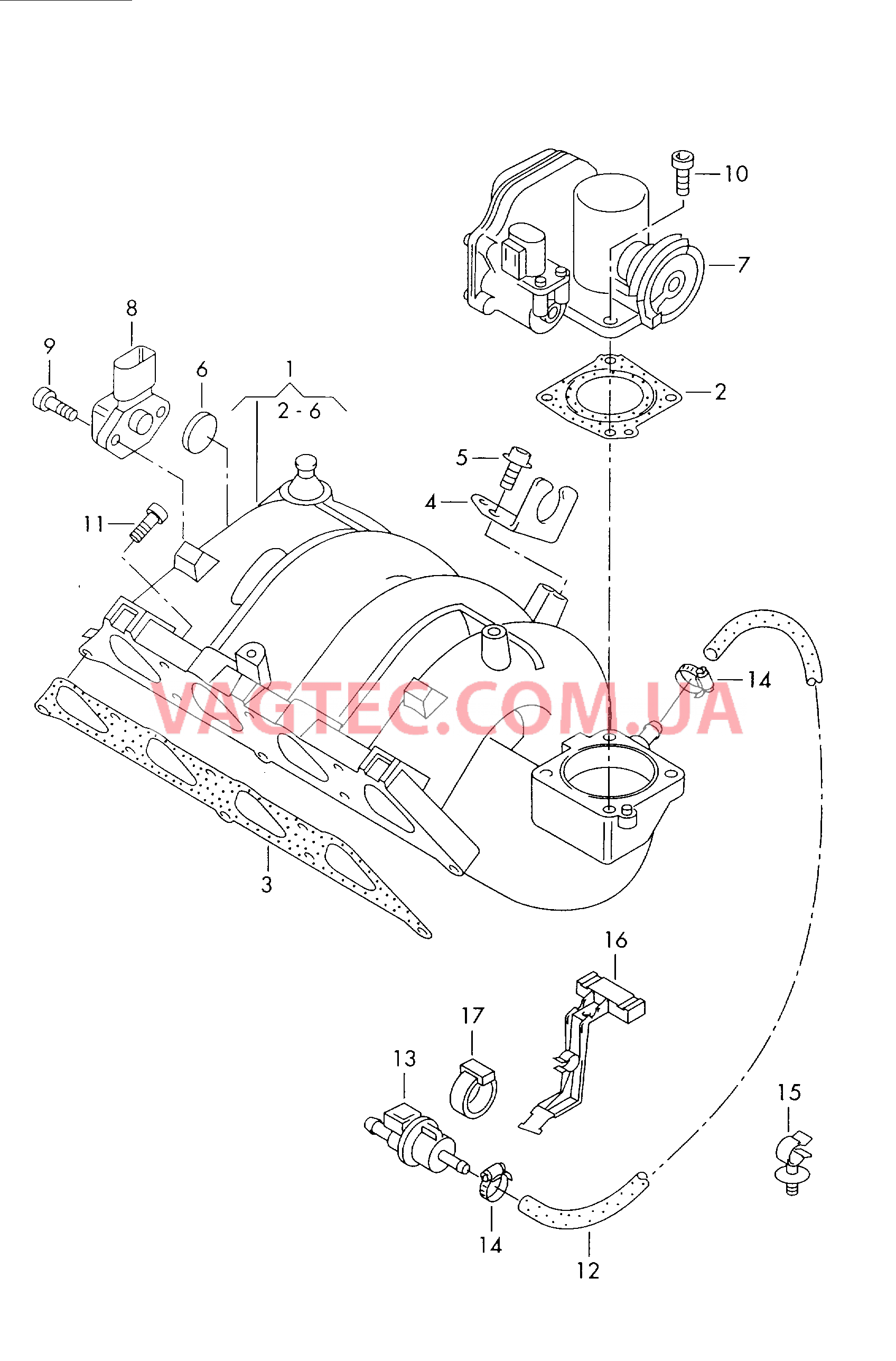 Cистема впуска воздуха Cистема улавл. паров топлива  для VOLKSWAGEN Polo 2001