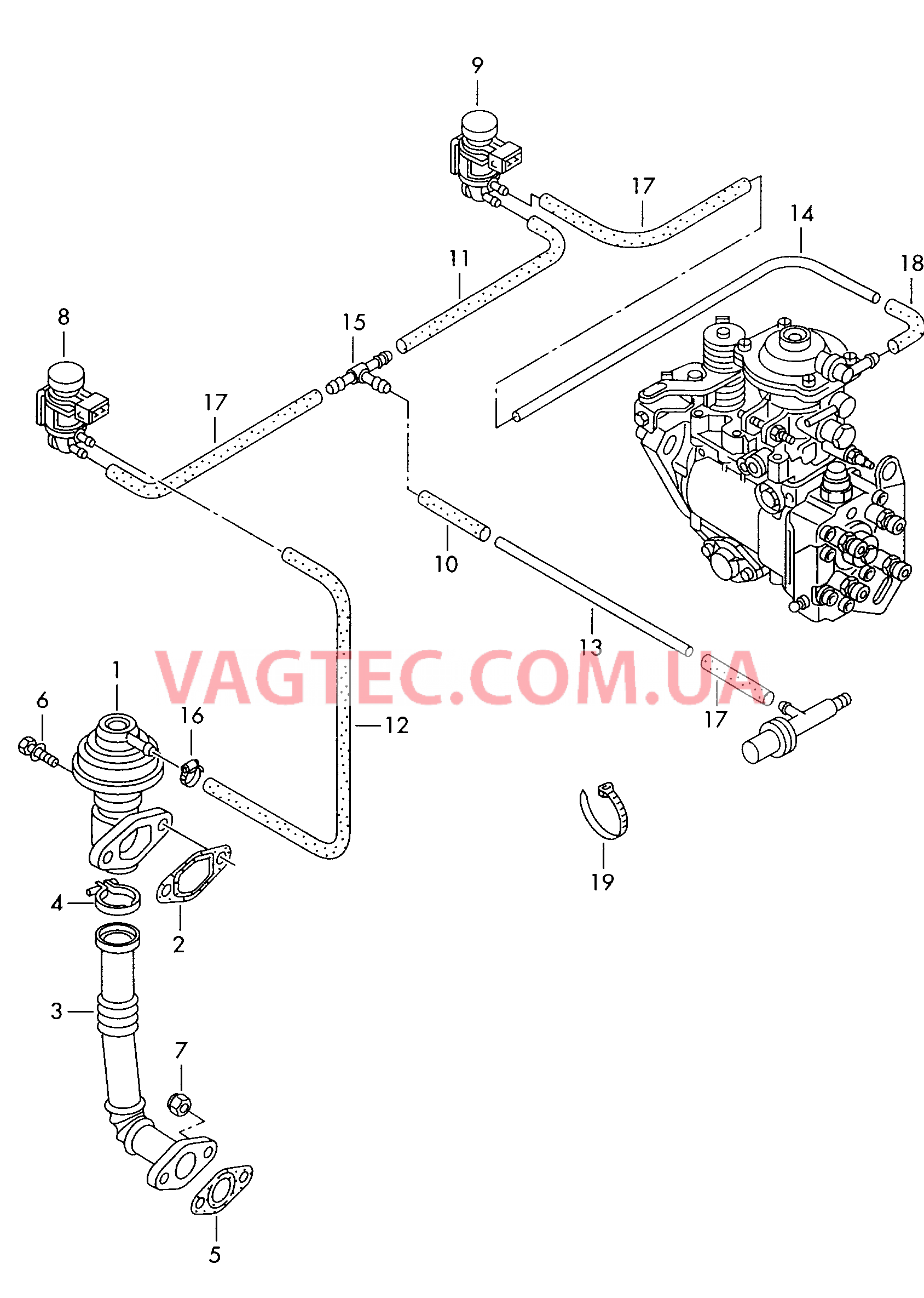 Вакуумная система Рециркуляция ОГ  для VOLKSWAGEN Polo 2001