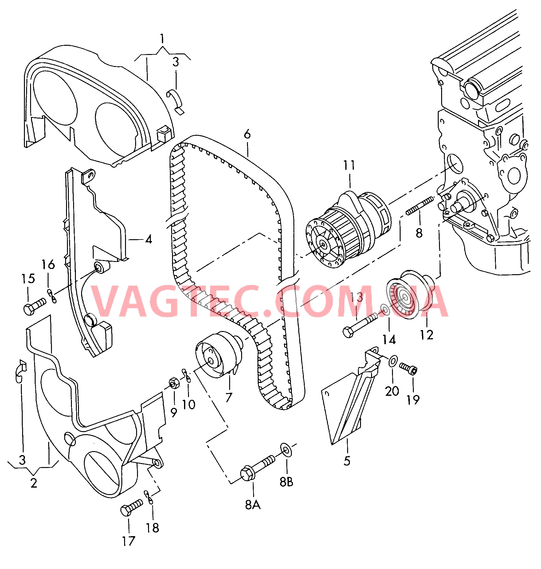 Защитный кожух ремня для VW РOLO  Ремень зубчатый для VW РOLO   для VOLKSWAGEN Polo 2000