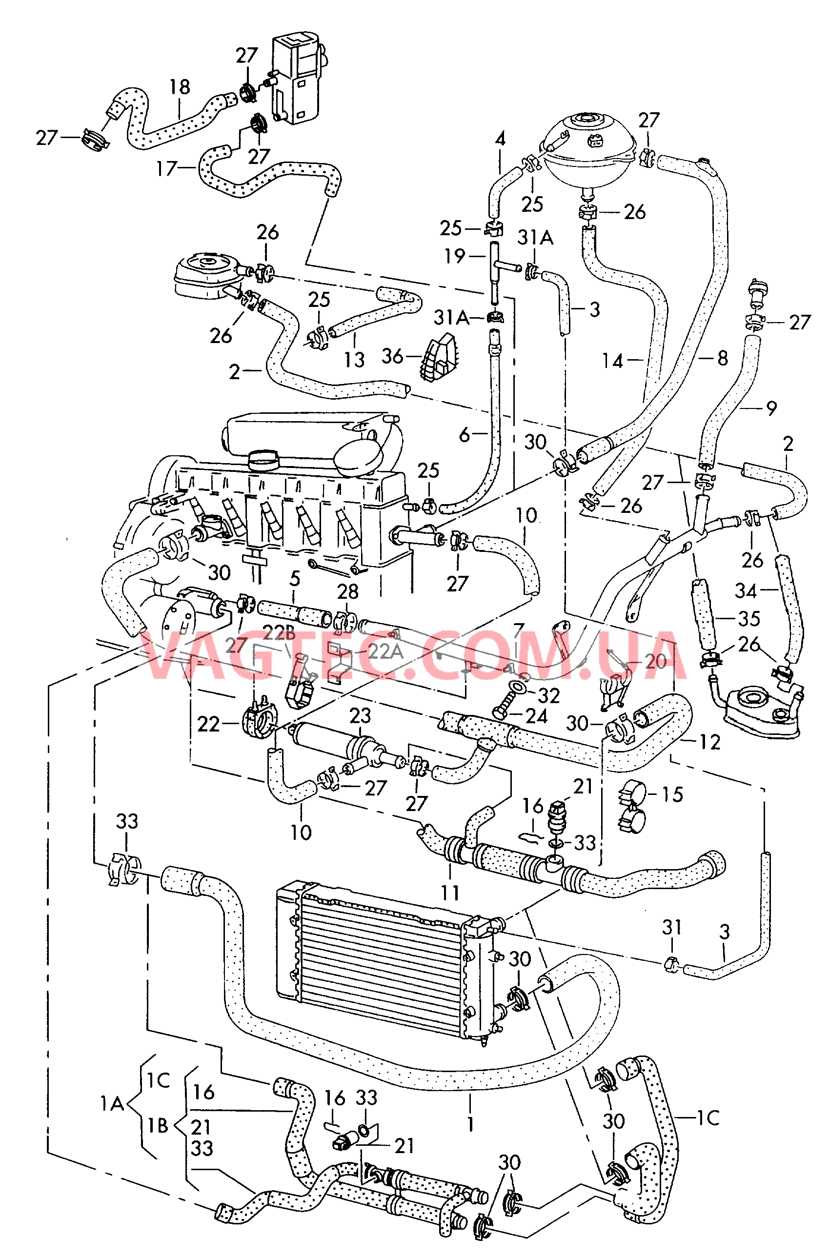 Шланги ОЖ и трубки    см. панель иллюстраций:  F             >> 70-X-080 000* F 70-X-080 001>>* для VOLKSWAGEN Transporter 2002