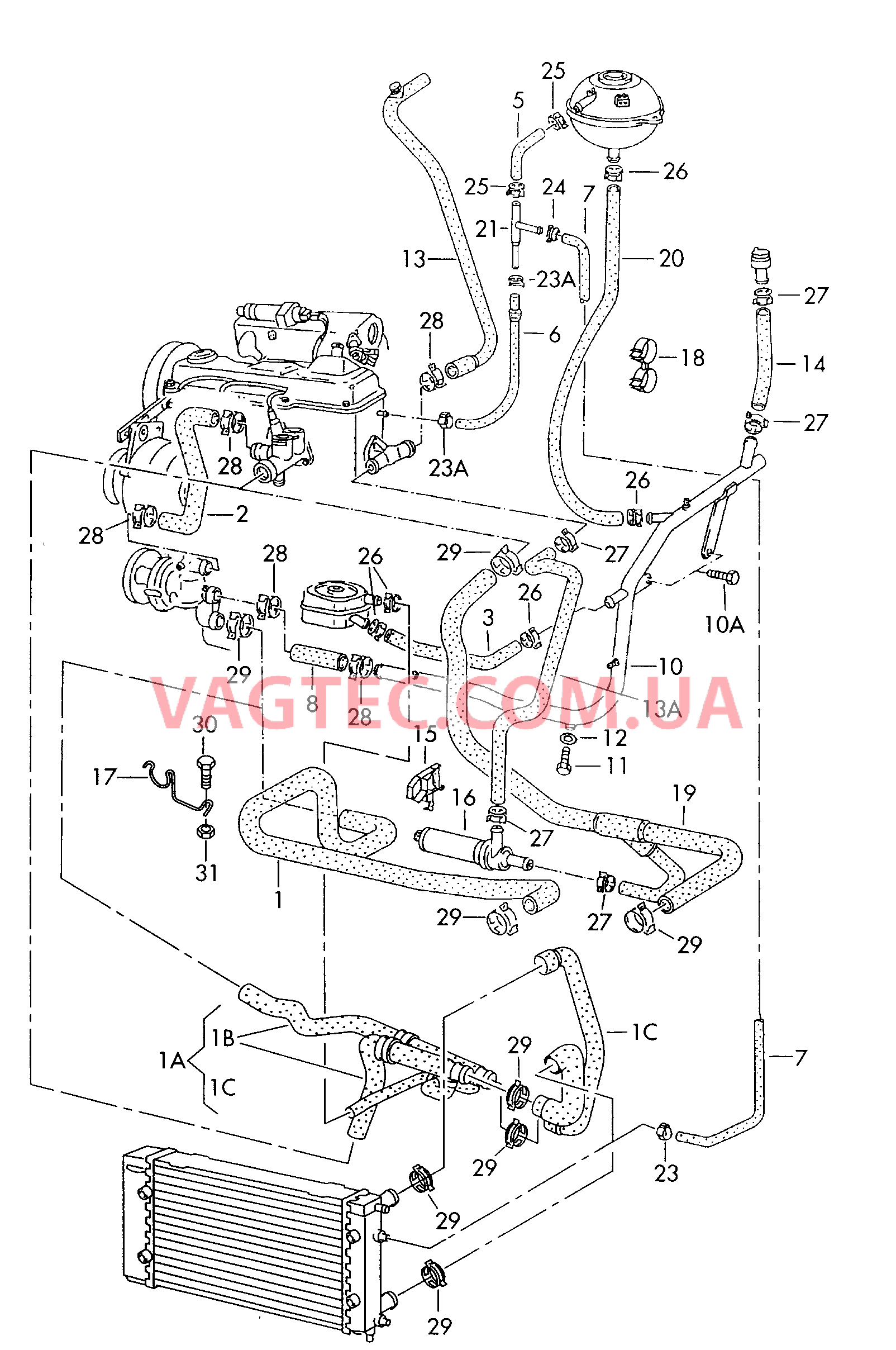 Шланги ОЖ и трубки   см. панель иллюстраций:  F             >> 70-X-080 000* для VOLKSWAGEN Transporter 2004