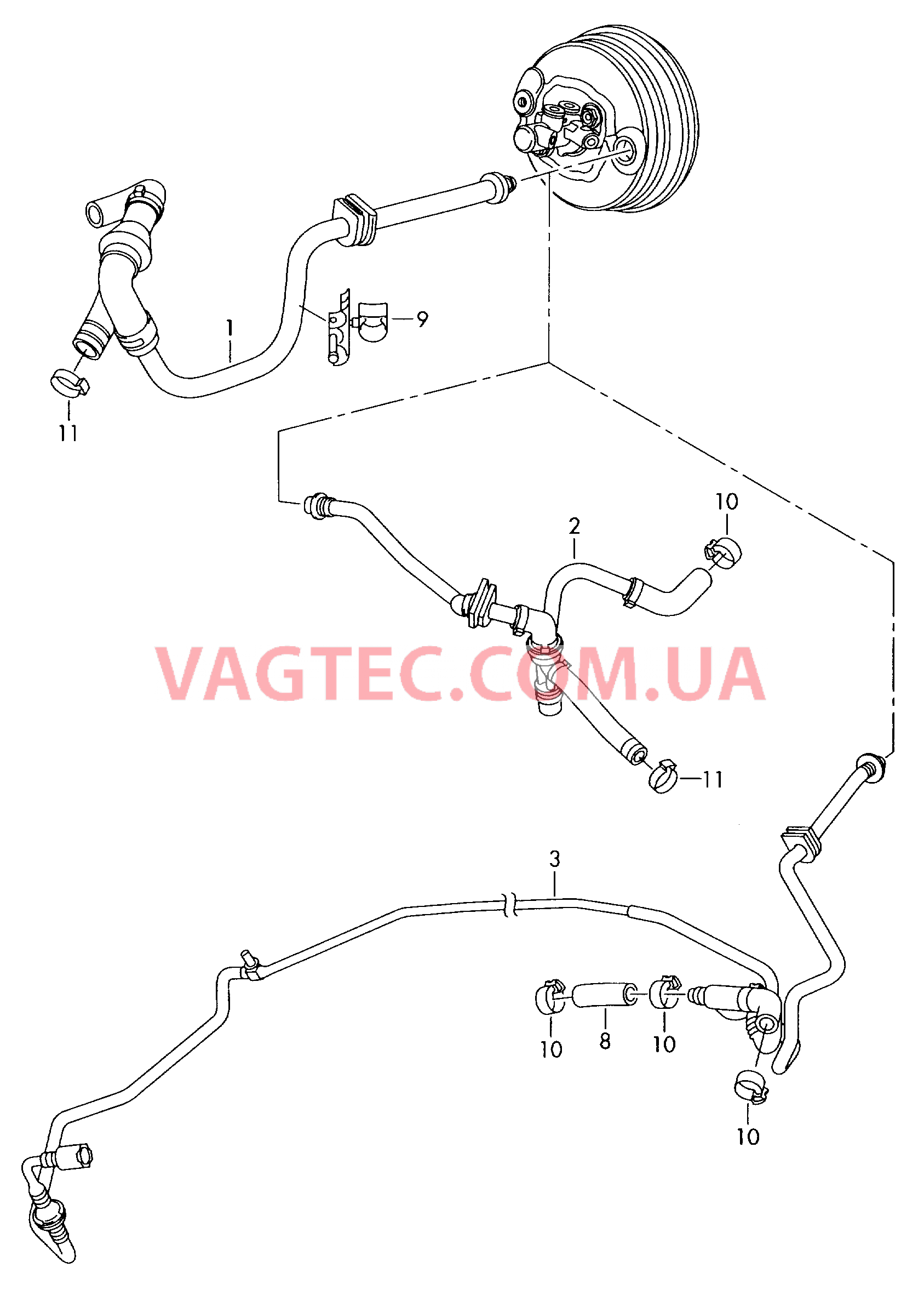 Вакуумные шланги для усилителя тормозного привода  для VOLKSWAGEN Phaeton 2002
