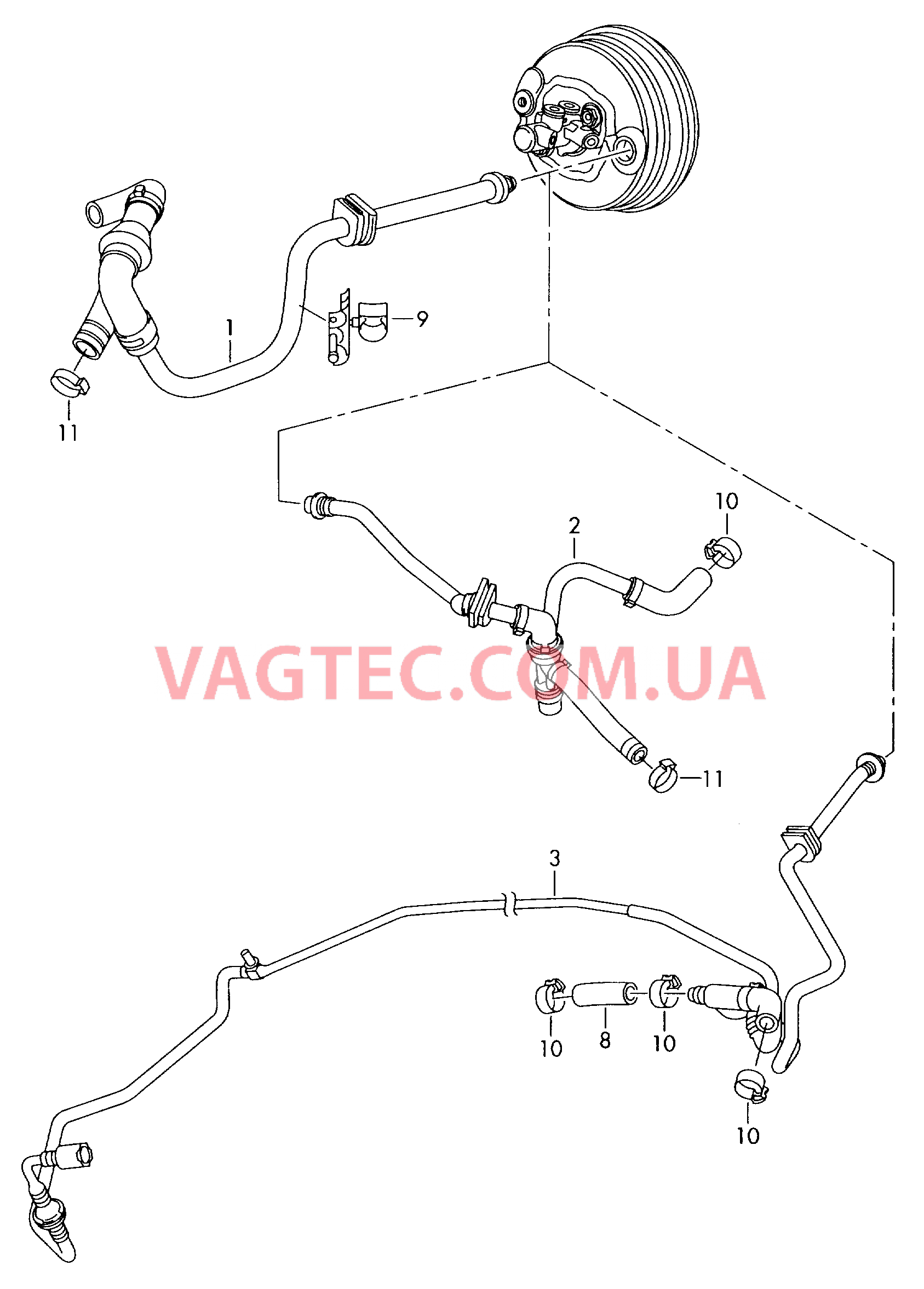 Вакуумные шланги для усилителя тормозного привода  для VOLKSWAGEN Phaeton 2009