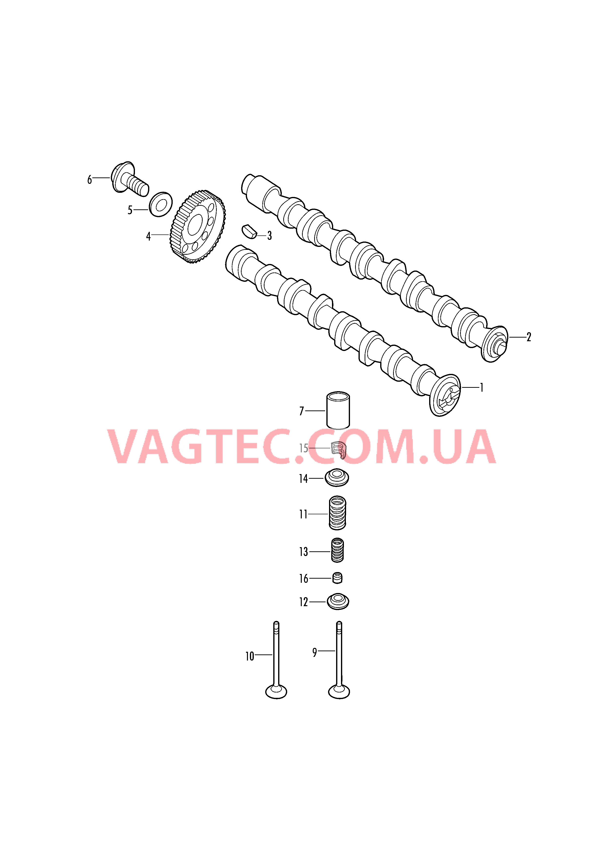 Pаспределительный вал, клапаны  для VOLKSWAGEN Jetta 2019-2