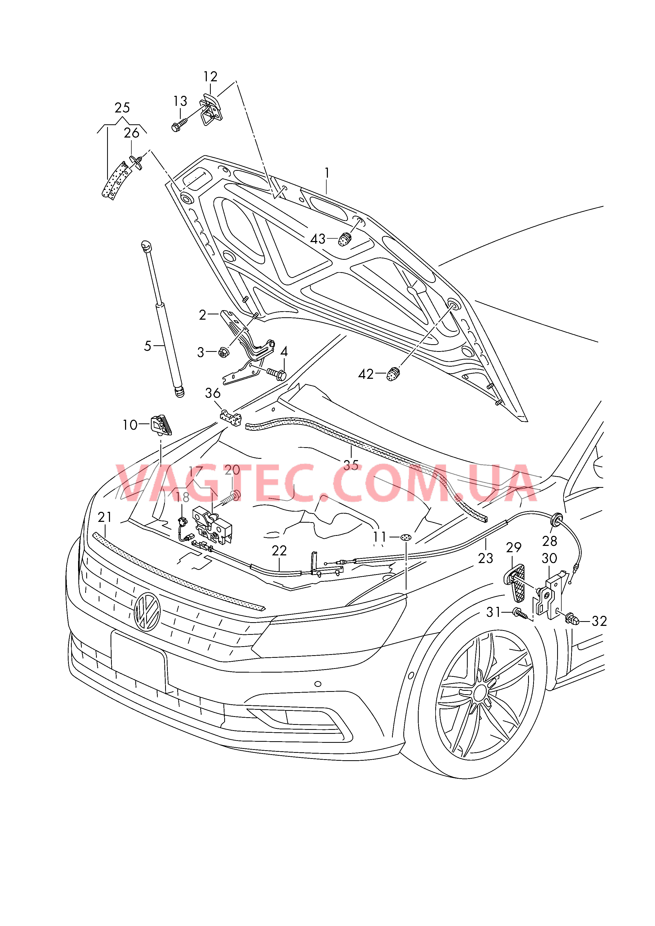 Капот  для VOLKSWAGEN Passat 2019