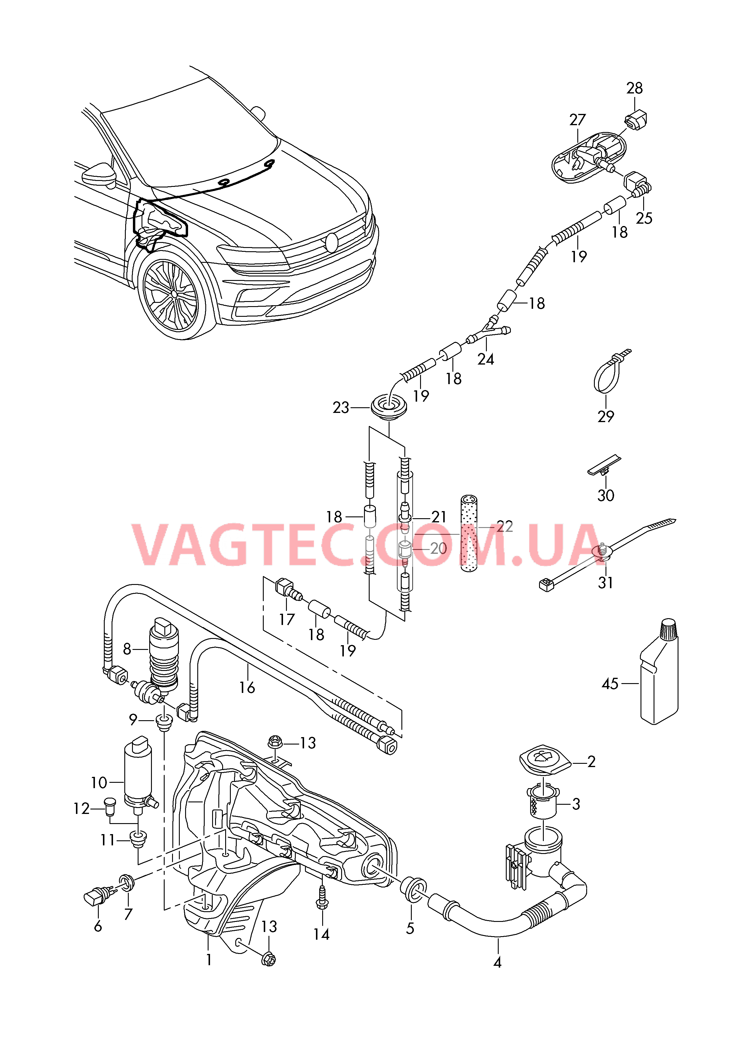 Бачок д/омыв.жидкости и детали  Шланг жидкости омывателя Форсунка Cредство для очистки стекол  для VOLKSWAGEN Tiguan 2018